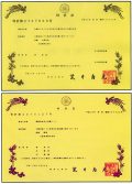 日本発明特許(1998)