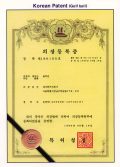韓国意匠登録(1996)
