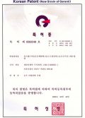 韓国発明特許２(2000)